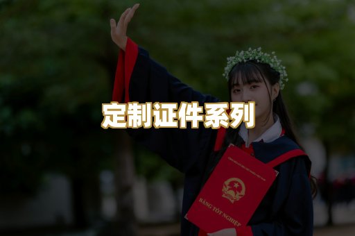 定制证件系列